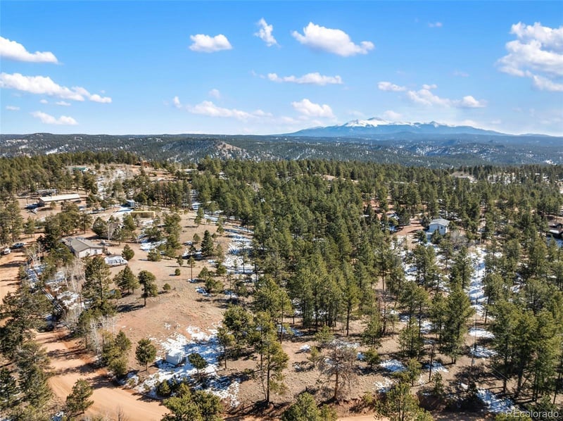 530 Columbine Rd Lot 40, Florissant, CO 80816