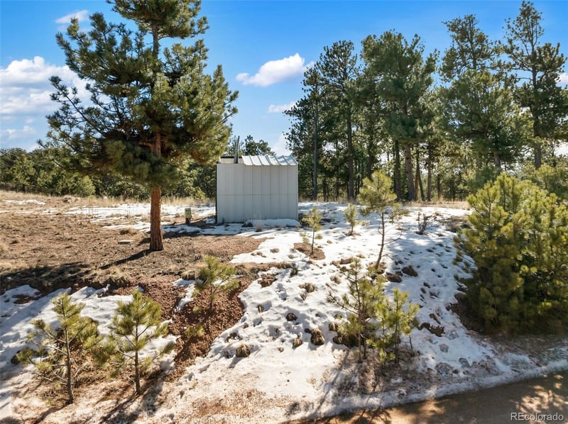 530 Columbine Rd Lot 40, Florissant, CO 80816