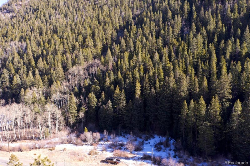 00 Highway 103 , Idaho Springs, CO 80452