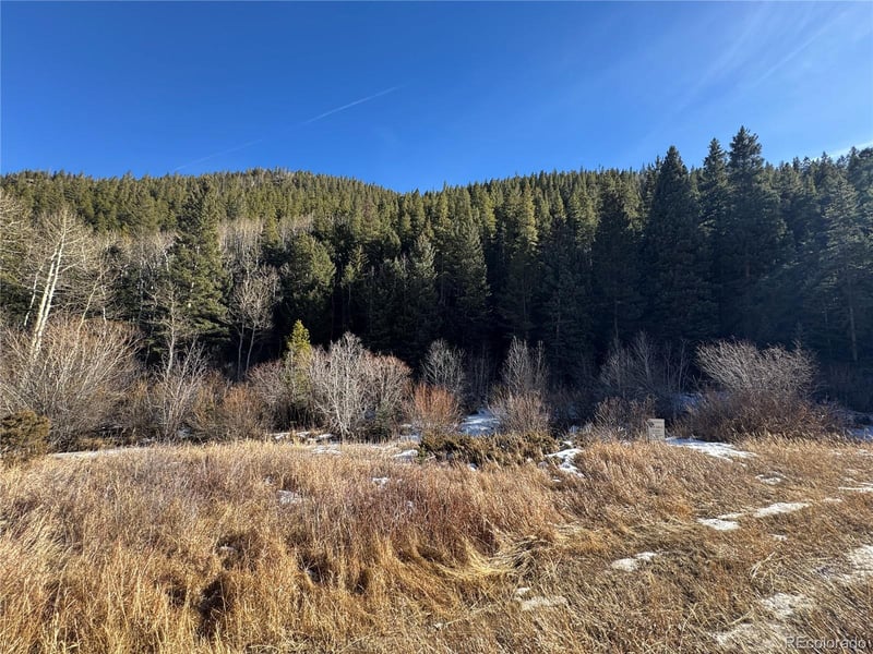 00 Highway 103 , Idaho Springs, CO 80452