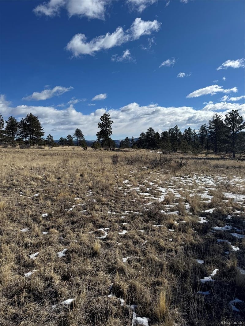 861A State Highway 24, Lake George, CO 80827