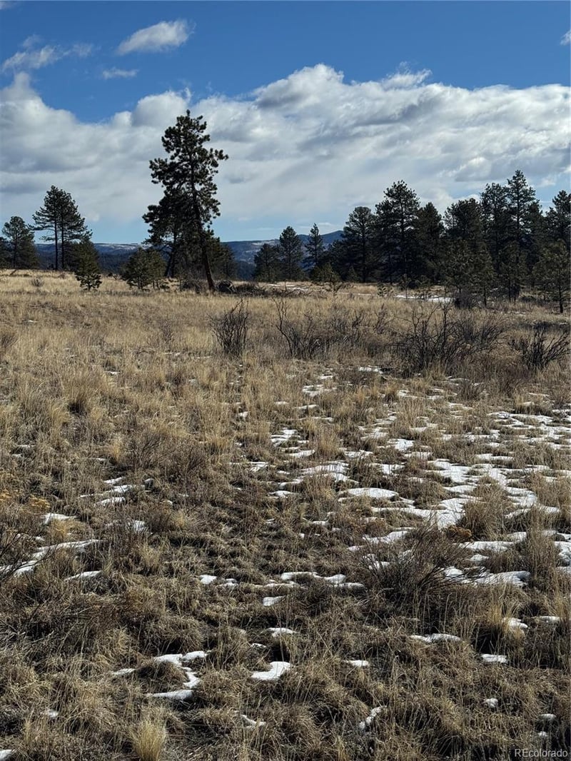 861A State Highway 24, Lake George, CO 80827