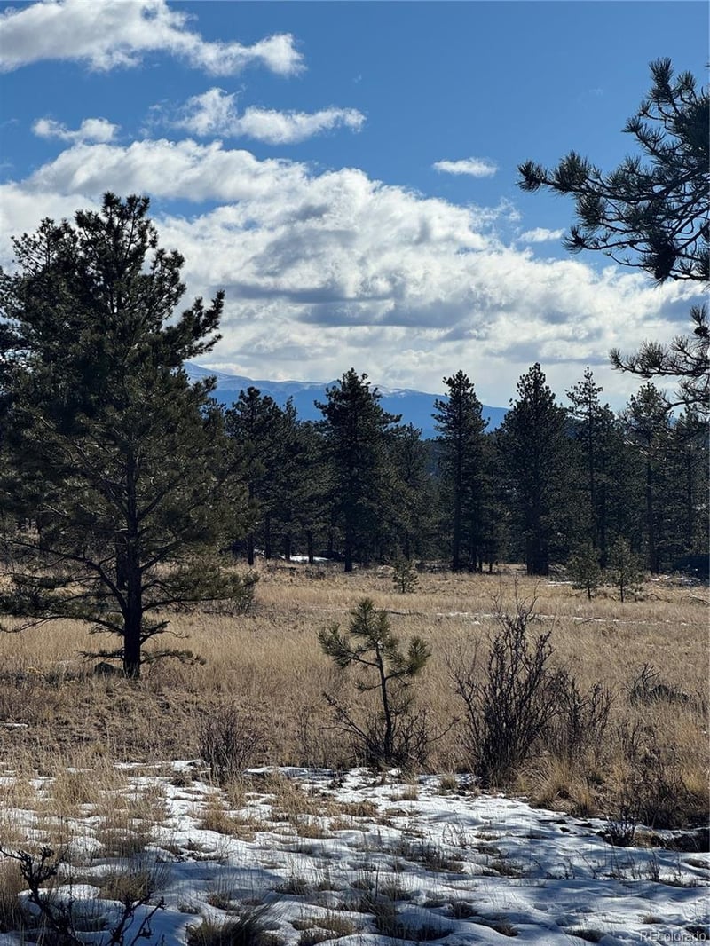 861A State Highway 24, Lake George, CO 80827