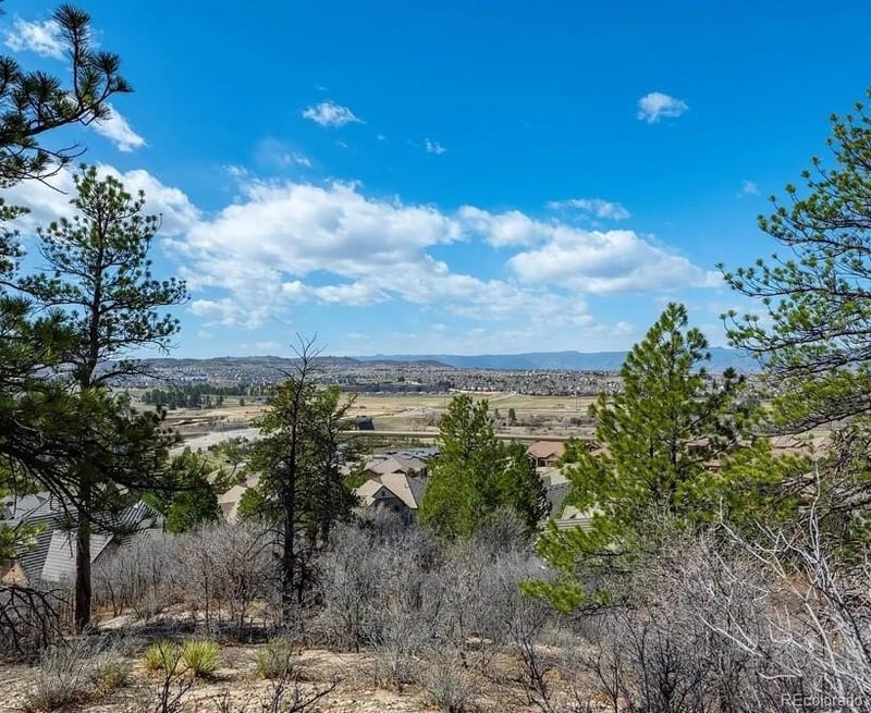 655 Ruby Trust Dr, Castle Rock, CO 80108