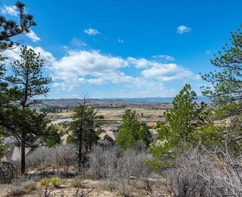 655 Ruby Trust Dr, Castle Rock, CO 80108