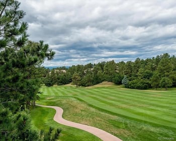 655 Ruby Trust Dr, Castle Rock, CO 80108