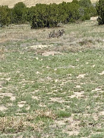 683 County Road 132, Penrose, CO 81240