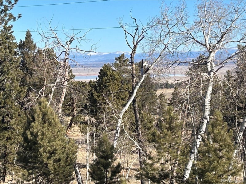 3430 Singletree Rd, Hartsel, CO 80449