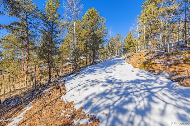 772 Bison Creek Trl, Florissant, CO 80816