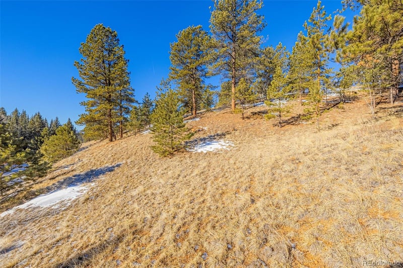 772 Bison Creek Trl, Florissant, CO 80816