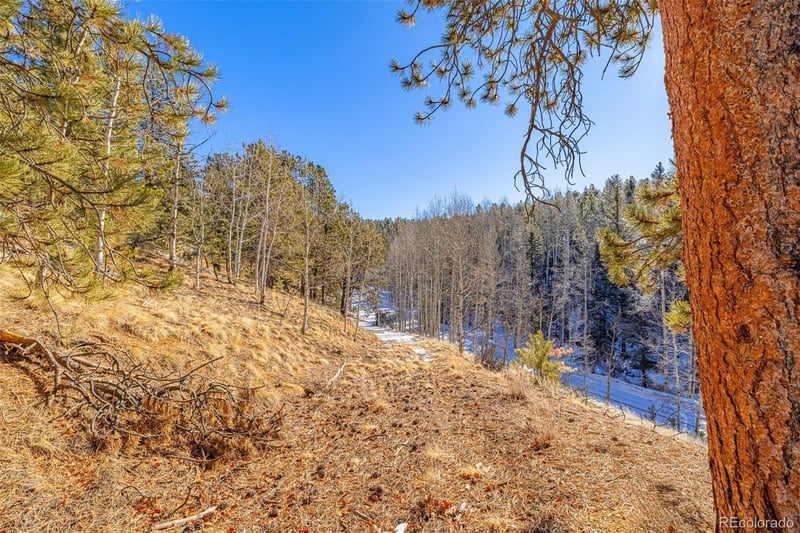 772 Bison Creek Trl, Florissant, CO 80816