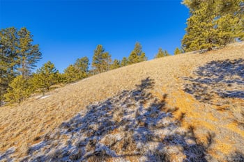 772 Bison Creek Trl, Florissant, CO 80816