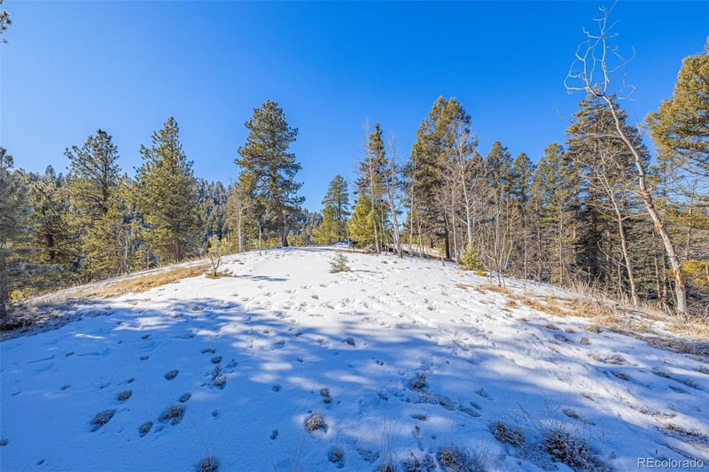772 Bison Creek Trl, Florissant, CO 80816