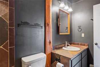 809 Ryan Gulch Rd #809, Silverthorne, CO 80498