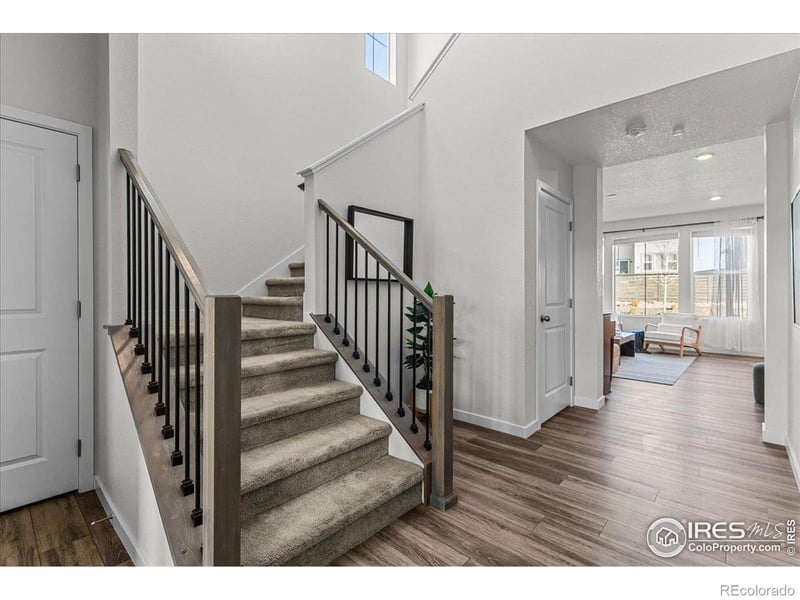 2558 Painted Turtle Ave, Loveland, CO 80538