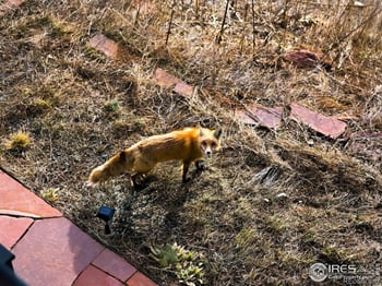 795 Pine Brook Rd, Boulder, CO 80304