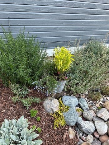 8620 Wildrye Cir, Parker, CO 80134