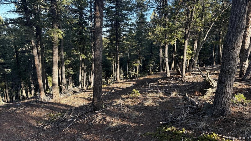461 Paradiso Rd, Divide, CO 80814