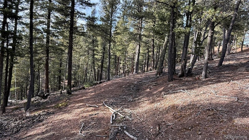 461 Paradiso Rd, Divide, CO 80814