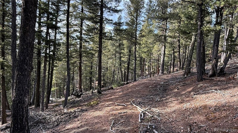 461 Paradiso Rd, Divide, CO 80814