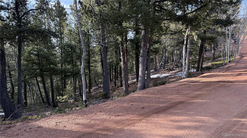 461 Paradiso Rd, Divide, CO 80814