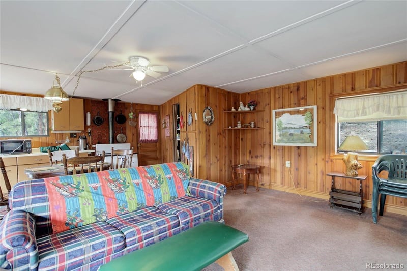 307 Virginia Rd, Bailey, CO 80421