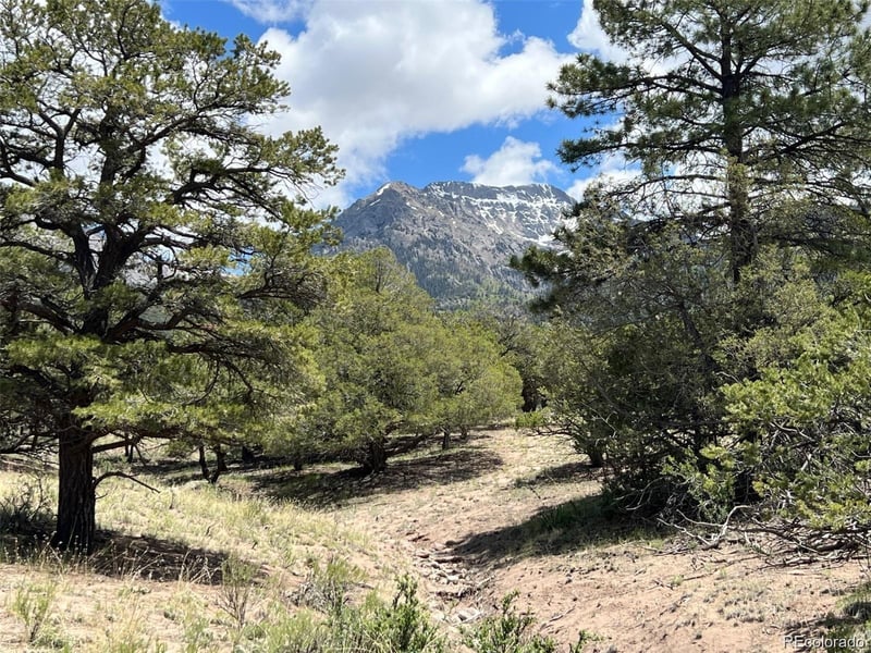 1153 Badger Rd, Crestone, CO 81131