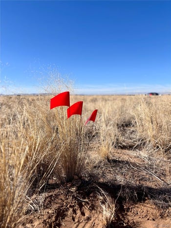 Lot 4 13th St, Blanca, CO 81123