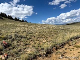 785 Cherokee Trl, Hartsel, CO 80449