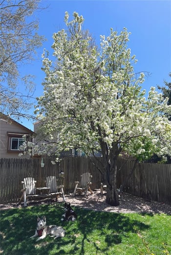 5011 Rushford Pl, Colorado Springs, CO 80923