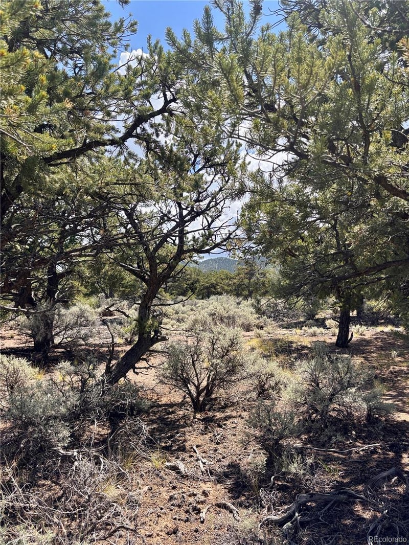 1134 Jorgulesco Rd Lot 1134, Fort Garland, CO 81133