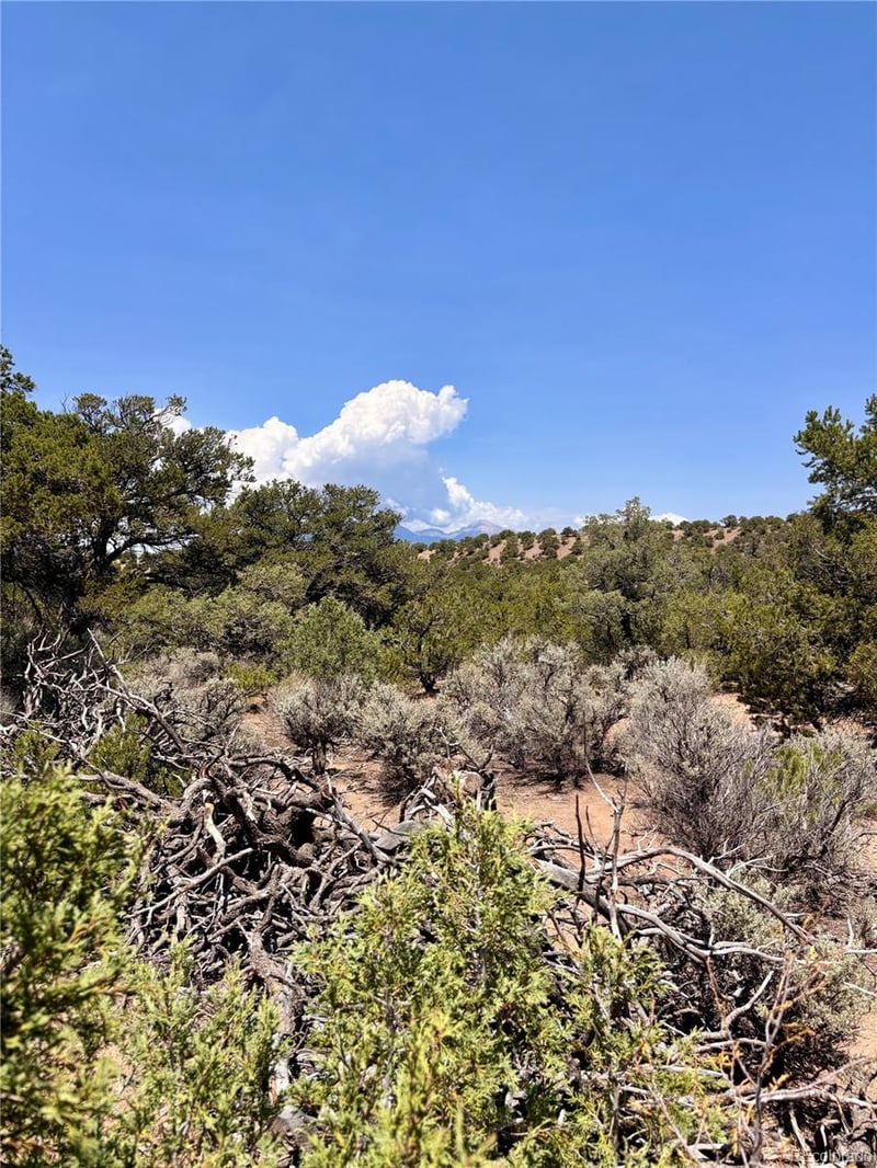 1134 Jorgulesco Rd Lot 1134, Fort Garland, CO 81133