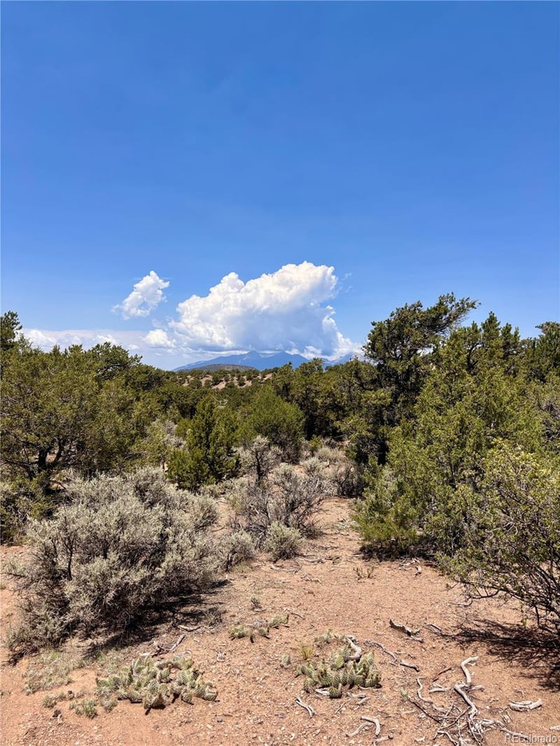 1134 Jorgulesco Rd Lot 1134, Fort Garland, CO 81133