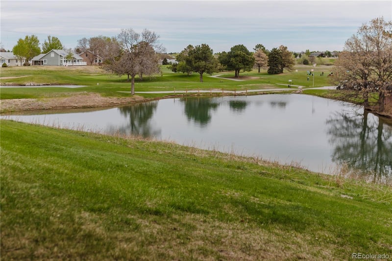 14 Stonehaven Ct, Littleton, CO 80130
