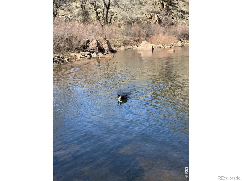 Longmont Dam Rd #2, Lyons, CO 80540
