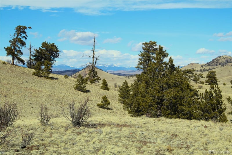 832 Ahlers Ln, Hartsel, CO 80449