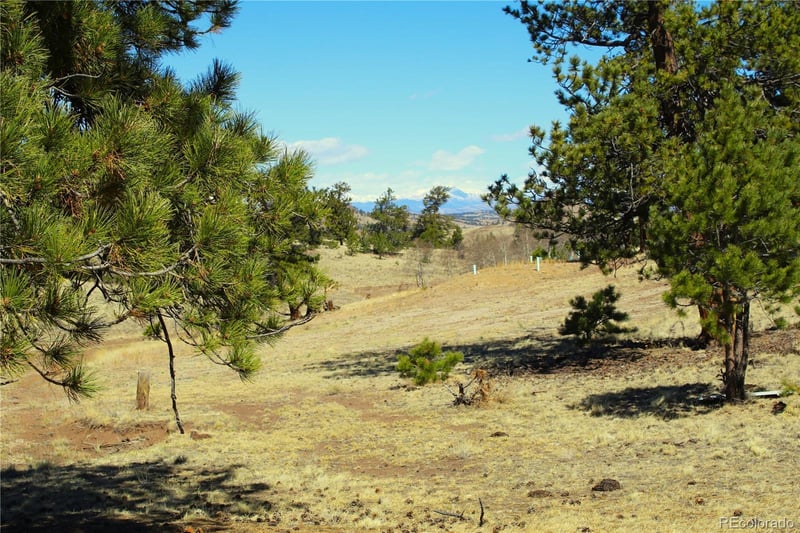 832 Ahlers Ln, Hartsel, CO 80449