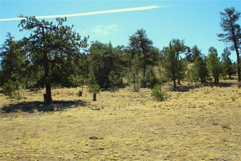 832 Ahlers Ln, Hartsel, CO 80449