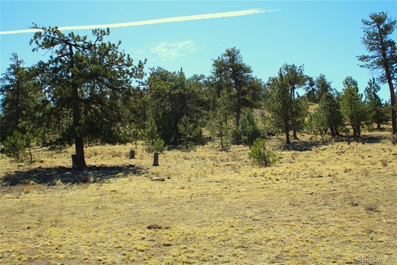 832 Ahlers Ln, Hartsel, CO 80449