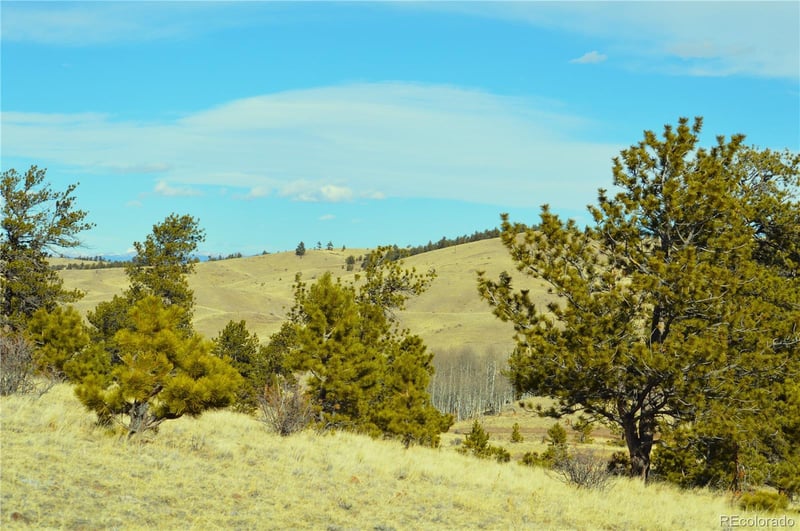 832 Ahlers Ln, Hartsel, CO 80449