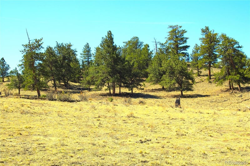 832 Ahlers Ln, Hartsel, CO 80449