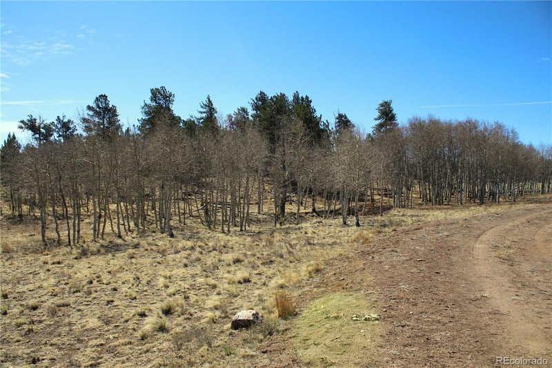 832 Ahlers Ln, Hartsel, CO 80449