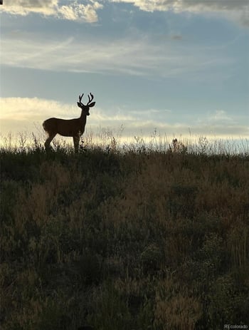455 Rogers Way, Castle Rock, CO 80104