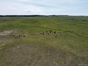 Lot 8 County Road 77, Calhan, CO 80808