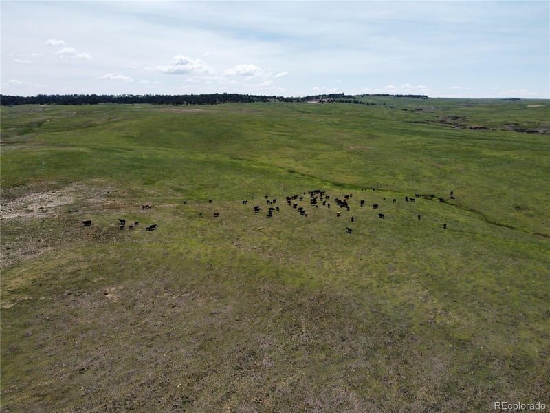 Lot 8 County Road 77 Lot 8, Calhan, CO 80808