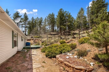 1011 Bison Creek Trl, Divide, CO 80814