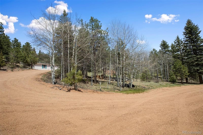 1011 Bison Creek Trl, Divide, CO 80814