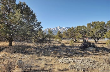 31320 County Road 384 A, Buena Vista, CO 81211