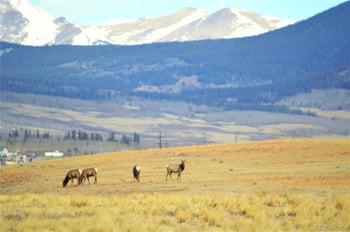 20400 Us 285 , Fairplay, CO 80440