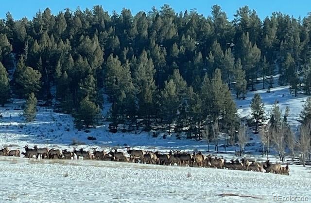 20400 Us 285 , Fairplay, CO 80440